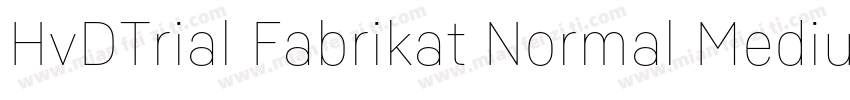 HvDTrial Fabrikat Normal Medium字体转换
